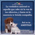 /album/fotogaleria/la-verdadera-amistad-jpg/